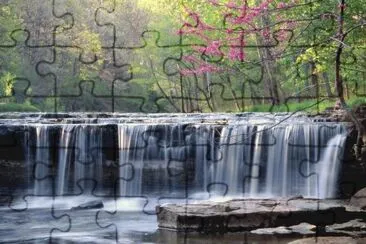  jigsaw puzzle