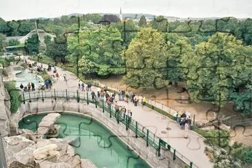 פאזל של zoo