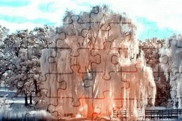 imagens