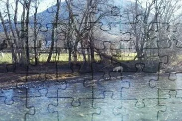 Blonde d 'Aquitaine au bord du gave jigsaw puzzle