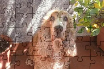 Elianac5 jigsaw puzzle