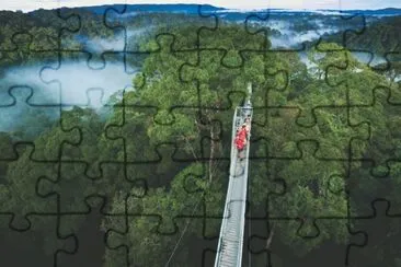 ulu temburong jigsaw puzzle