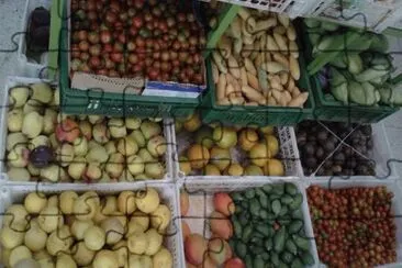 frutas