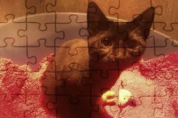 Jet jigsaw puzzle