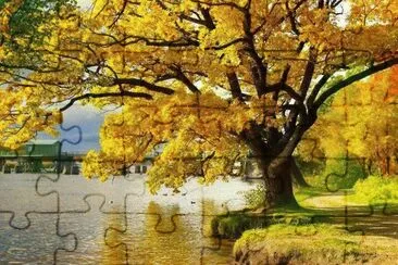 Amarelo
