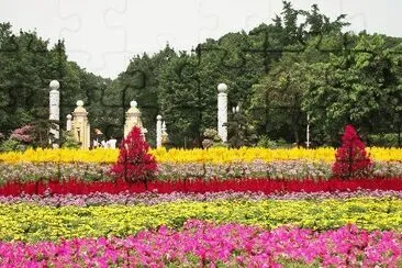peoples park