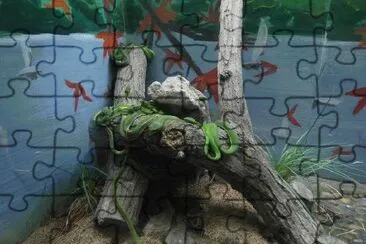 zoo jigsaw puzzle