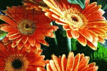 28 jigsaw puzzle