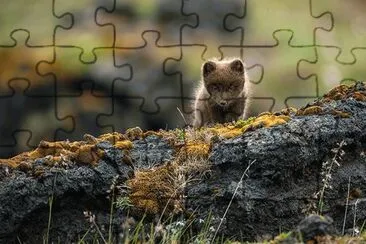 Islandia jigsaw puzzle