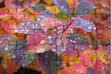 Bela paisagem jigsaw puzzle