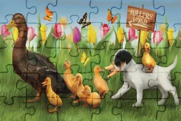 ss644 jigsaw puzzle