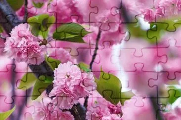 imagens jigsaw puzzle