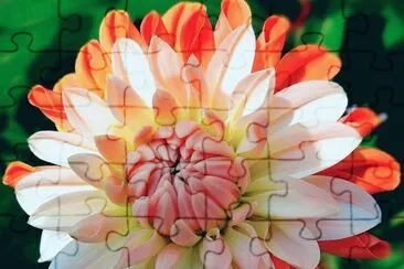 imagens jigsaw puzzle