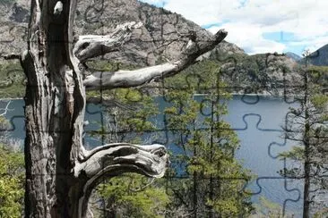 BahÃ­a LÃ³pez. Provincia de RÃ­o Negro. Argentina jigsaw puzzle