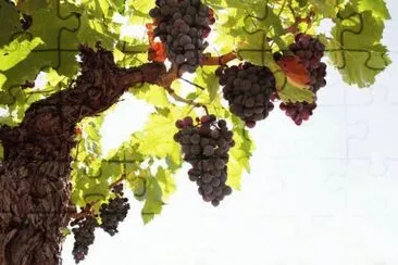 imagens jigsaw puzzle