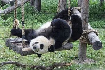 zoo