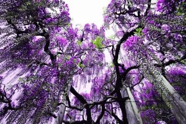 imagens jigsaw puzzle