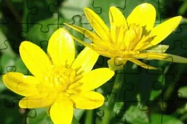 imagens jigsaw puzzle