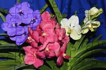 flor jigsaw puzzle