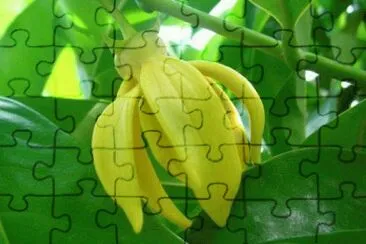 imagens jigsaw puzzle