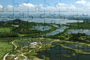 wetland park