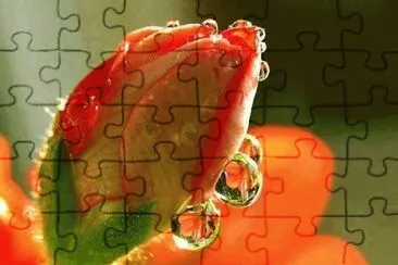 imagens jigsaw puzzle