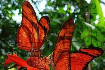 imagens jigsaw puzzle