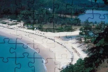 cargi jigsaw puzzle