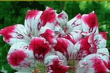 imagens jigsaw puzzle