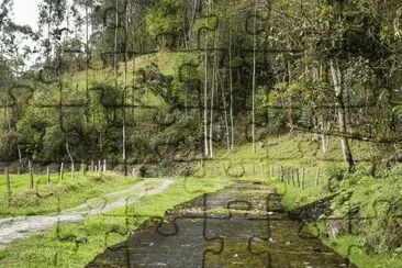 vzla