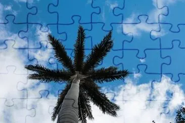 vzla jigsaw puzzle