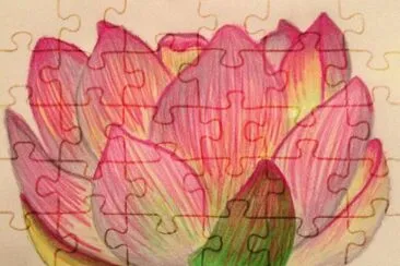 Lotus Flower