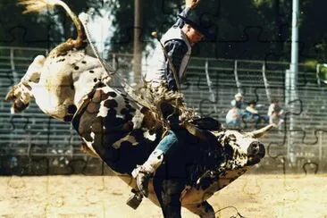 rodeo