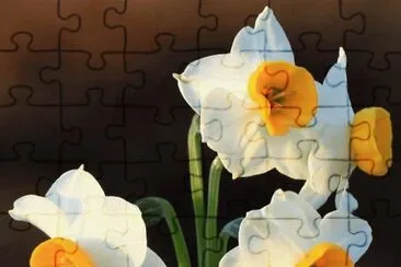 æ°´ä»™ jigsaw puzzle