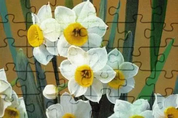 æ°´ä»™ jigsaw puzzle