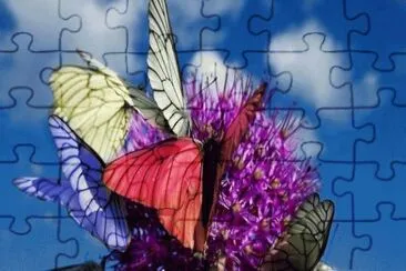 imagens jigsaw puzzle