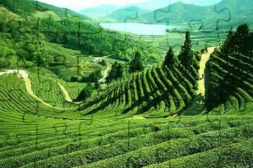 imagens jigsaw puzzle