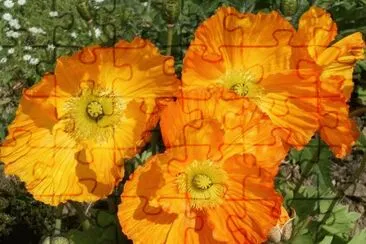 imagens jigsaw puzzle