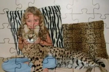 gatos1 jigsaw puzzle