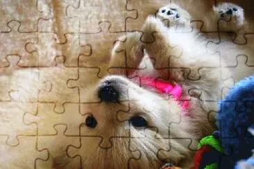 N9 jigsaw puzzle