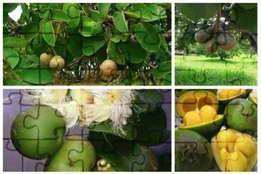  jigsaw puzzle