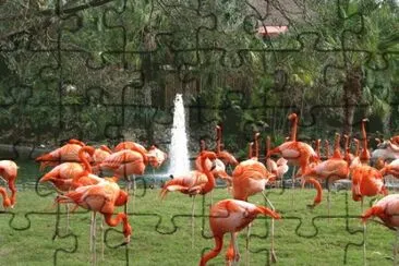 vzla