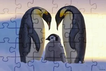 imagens jigsaw puzzle