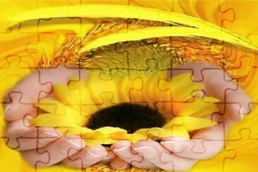 imagens