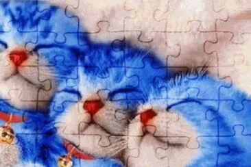 imagenes jigsaw puzzle