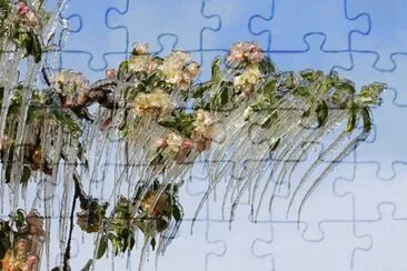 imagens jigsaw puzzle