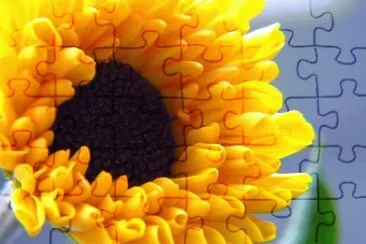 imagens jigsaw puzzle
