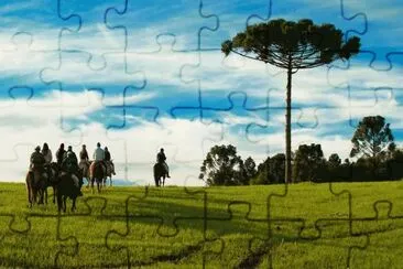 SANTA  CATARINA jigsaw puzzle
