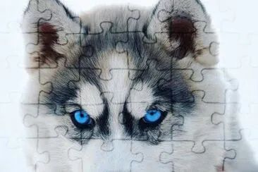 Blue eyes