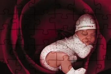  jigsaw puzzle
